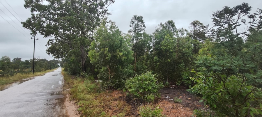 0 Bedroom Property for Sale in Greenbushes Eastern Cape
